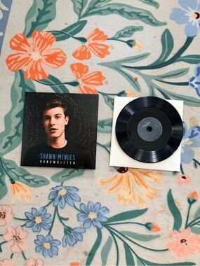 Mini Brands Vinyl- Shawn Mendes Imagination
